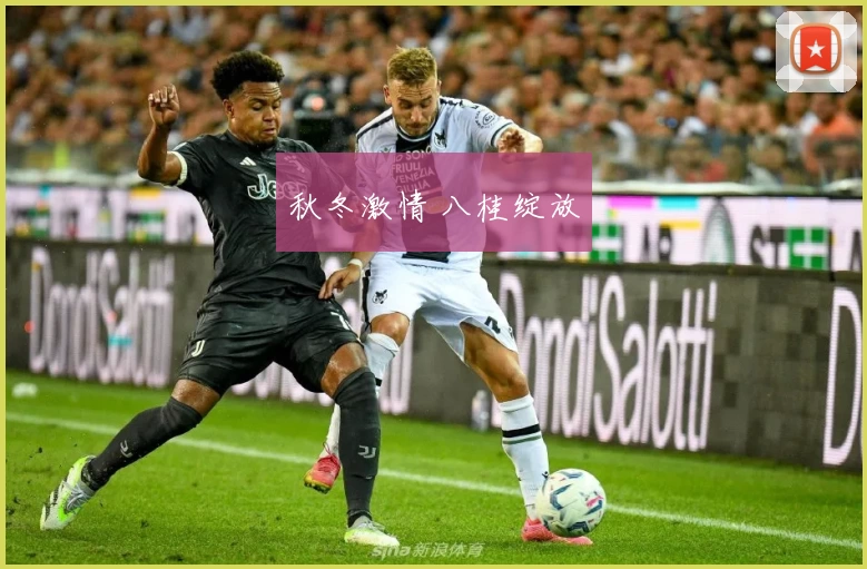 秋冬激情 八桂绽放